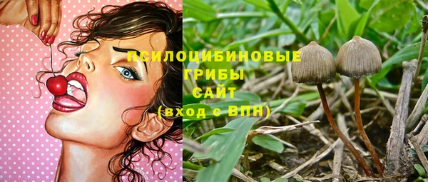 твердый Армянск