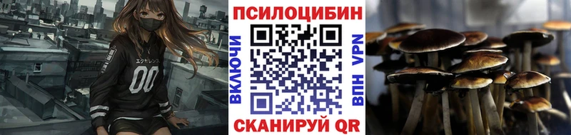 продажа наркотиков  Бавлы  Псилоцибиновые грибы мухоморы 