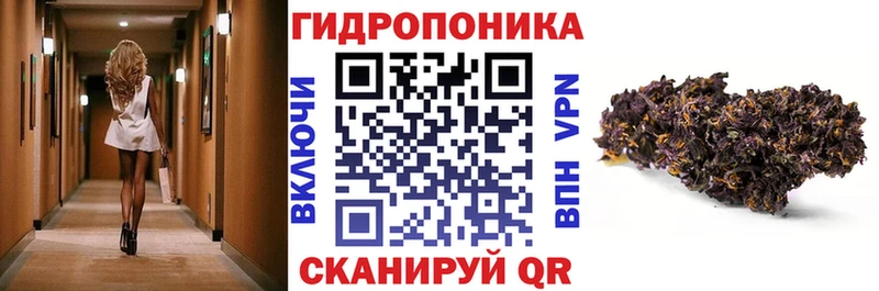 Канабис ГИДРОПОН  Бавлы 
